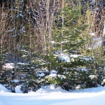 Pec Pod Sněžkou 2007
